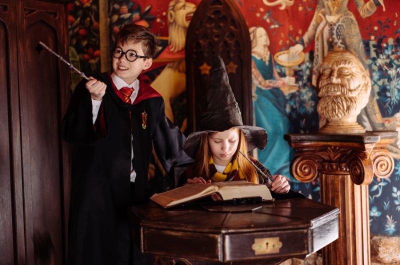 Harry Potter Party