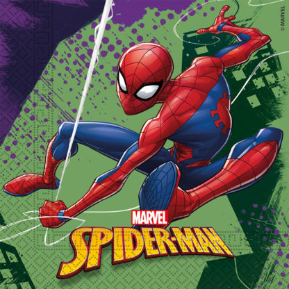 παρτυ spiderman
