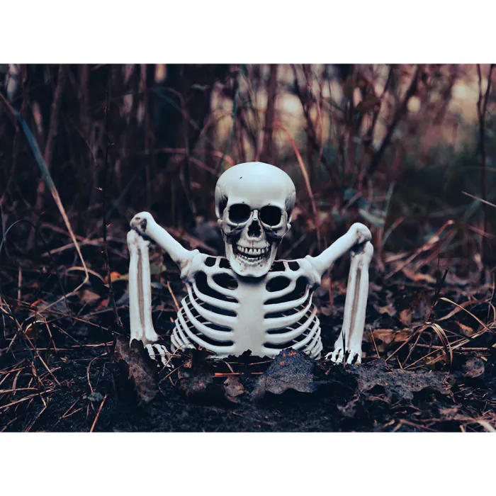 halloween διακοσμηση σκελετος