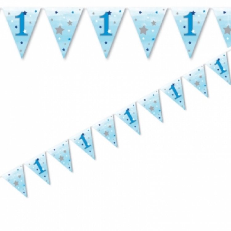 Twinkle little Star blue flag bunting