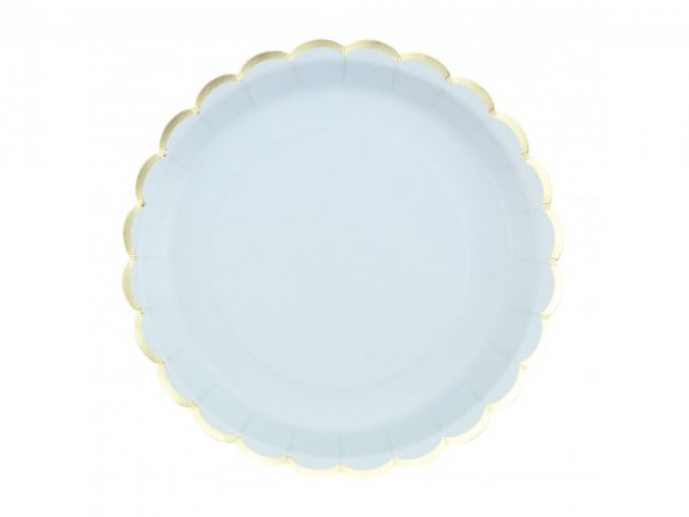 pale-blue-large-paper-plates-color-theme-party-supplies-91325