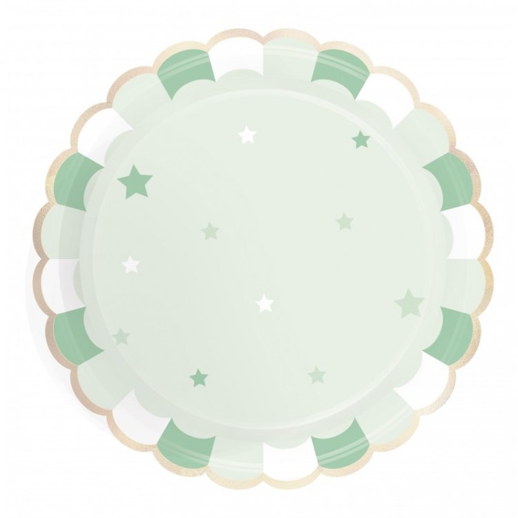 mint-green-pattern-paper-plates-themed-party-supplies-91312