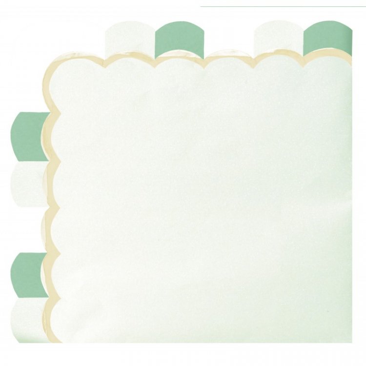 mint-green-pattern-luncheon-napkins-themed-party-supplies-91352