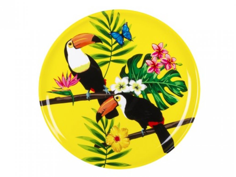 toucan-parrots-plastic-tray-52591