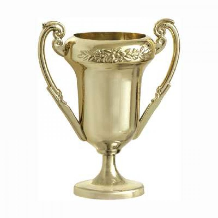 pinata-favors-gold-trophies-party-favors-74000