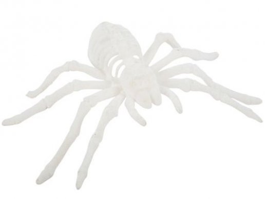 White velvet spider 12,5cm x 20,5cm