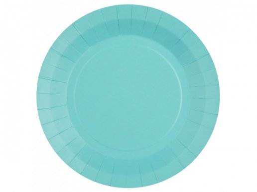 Light blue large paper plates 10pcs