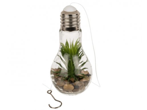 Decorative bulb with succulent plant and LED 5cm x 19cm