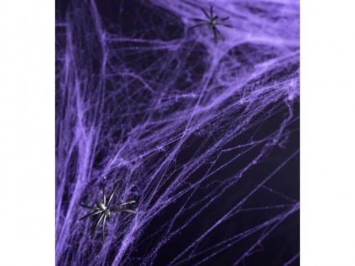 Purple spider web
