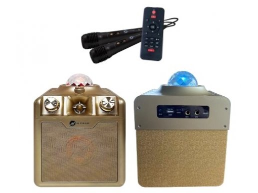 Gold Disco Star 710G Bluetooth speaker with Karaoke