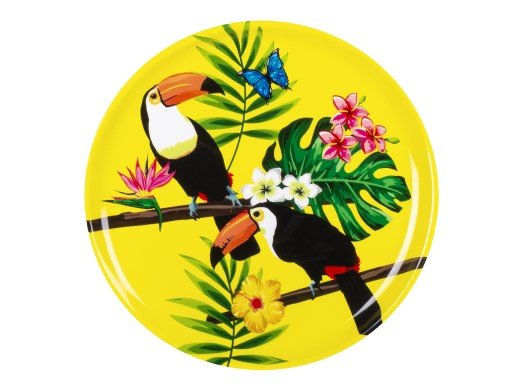 toucan-parrots-plastic-tray-52591