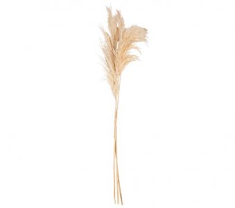 Bouquet of Sheaves in Ivory Color (75cm)