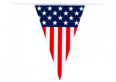 American Party Flag Bunting (6m)