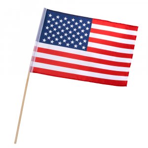 American Party Hand Flag (60cm)