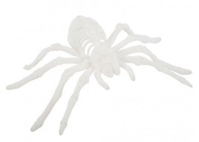 White Velvet Spider (12,5cm x 20,5cm)