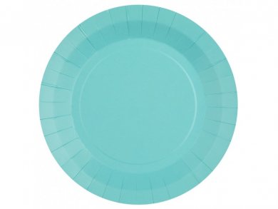 Light Blue Large Paper Plates (10pcs)