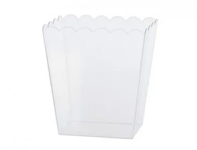 Clear Color Rectangular Container (15cm)