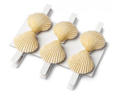 Shell Decorative Wooden Pegs (6pcs)