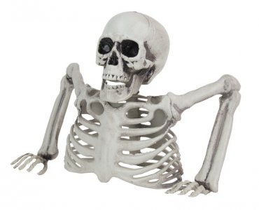 Decorative Half Skeleton (25cm)