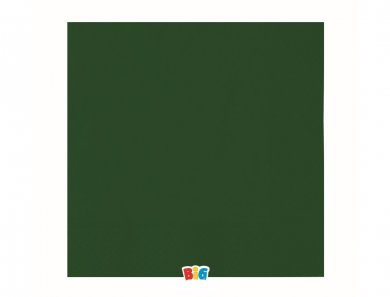 Ecolor Green Luncheon Napkins (40pcs)