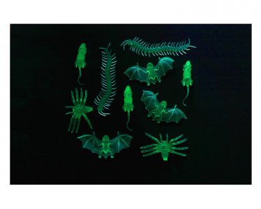 Insects Glow in The Dark (10pcs)