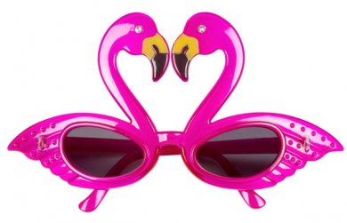 Flamingo Fuchsia Party Glasses
