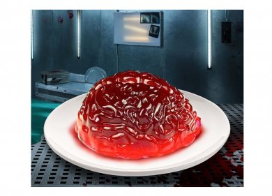 Jelly Mold in The Shape of A Brain (22cm x 18cm)