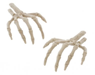 Skeleton Hands Natural Color (1pcs)