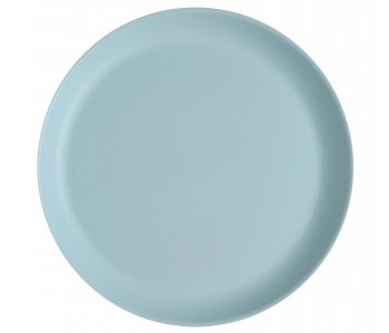 Light Blue  Reusable Large Plates (6pcs)