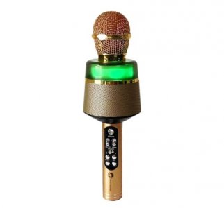 Star Sing Mic Gold