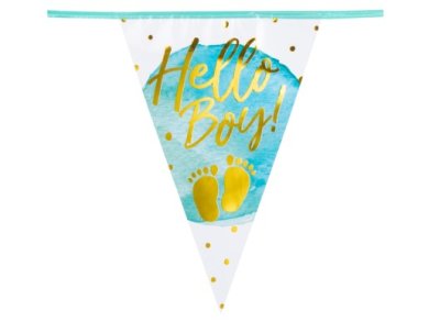 Hello Boy and Little Toes Flag Bunting (6m)