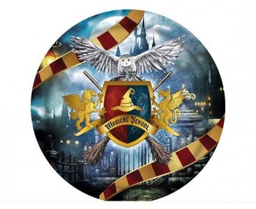 Wizard School Large Paper Plates (6pcs)