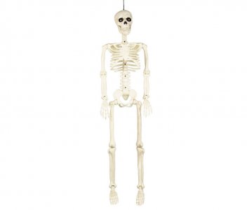 Decorative Skeleton (160cm)