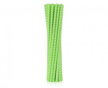 Lime Green Chevron Paper Straws (12pcs)