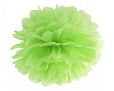 Lime Green Fluffy (25cm)