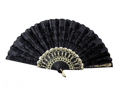 Black Fan