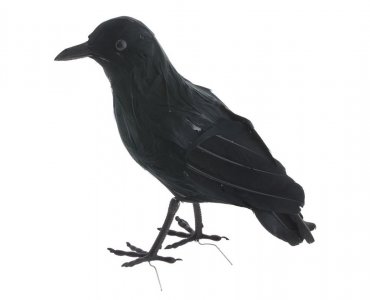 Black Raven (23cm)