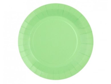 Mint Green Small Paper Plates (10pcs)