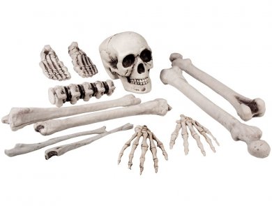 Skull and Bones (12pcs)