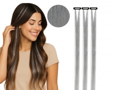 Ασημί Extensions για Τα Μαλλιά (3τμχ)