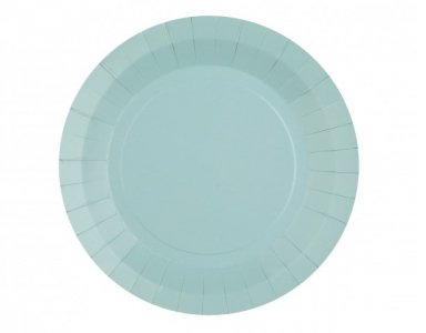 Pale Blue Large Paper Plates (10pcs)