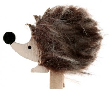 Hedgehog Mini Wooden Pegs (6pcs)