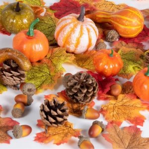 Thanksgiving - Εποχιακά Είδη Πάρτυ