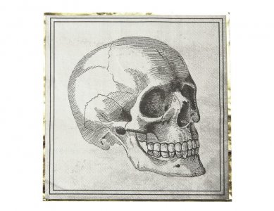 Vintage Skeleton Napkins (16pcs)