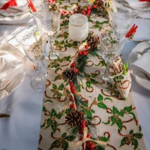Mistletoe and Poinsettia - Party Supplies for Christmas