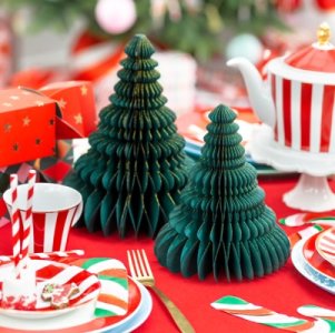Xmas in Green - Party Supplies for Chistmas