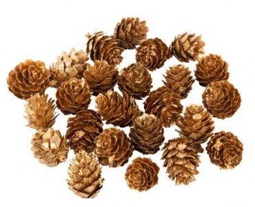 Small Gold Decorative Pines (24pcs)