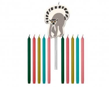 Zoo Party Cake Candles (11pcs)