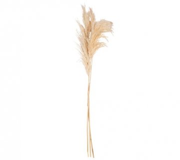 Bouquet of sheaves in ivory color 75cm