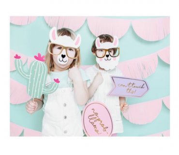 llama-and-cactus-photobooth-props-party-accessories-knp34